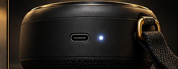 Back of the speaker, showing the USB-C port and a status light.